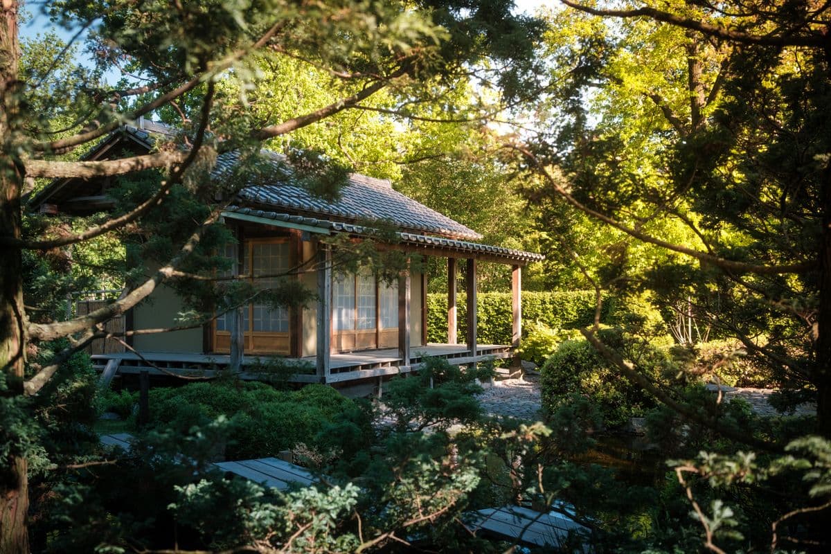 A traditional Japanese tea house entrance with lanterns and greenery